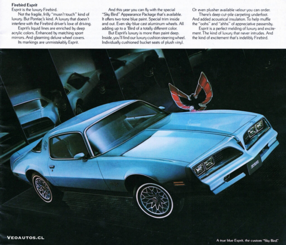 PontiacFirebird-TransAm-W72-1978-4